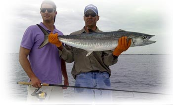 fishing shark, jack crevalle & pompano