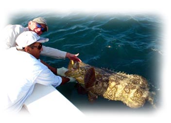 light tacke fishing charters light tacke fishing charters