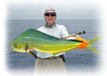 snook, trout and shark fishing in stuart and hobe sound